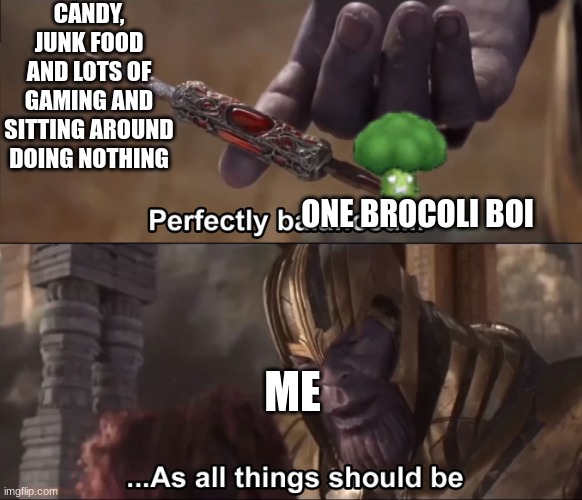 Thanos perfectly balanced as all things should be | CANDY, JUNK FOOD AND LOTS OF GAMING AND SITTING AROUND DOING NOTHING; ONE BROCOLI BOI; ME | image tagged in thanos perfectly balanced as all things should be | made w/ Imgflip meme maker