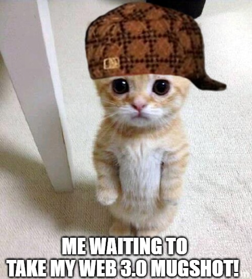 i stay ready | ME WAITING TO TAKE MY WEB 3.0 MUGSHOT! | image tagged in memes,cute cat | made w/ Imgflip meme maker