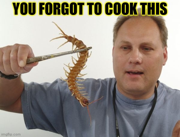 Worst meme of the day! | YOU FORGOT TO COOK THIS | image tagged in centipede,bad taste,cooking,bugs | made w/ Imgflip meme maker
