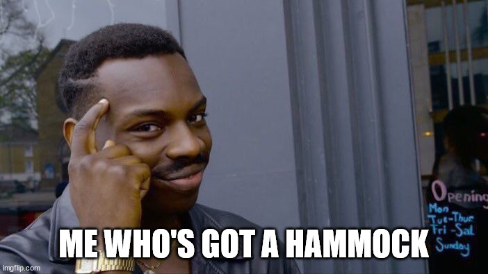 Roll Safe Think About It Meme | ME WHO'S GOT A HAMMOCK | image tagged in memes,roll safe think about it | made w/ Imgflip meme maker