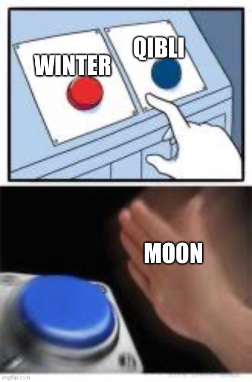 Red and Blue Buttons | QIBLI WINTER MOON | image tagged in red and blue buttons,wings of fire | made w/ Imgflip meme maker