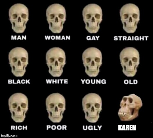 idiot skull |  KAREN | image tagged in idiot skull | made w/ Imgflip meme maker