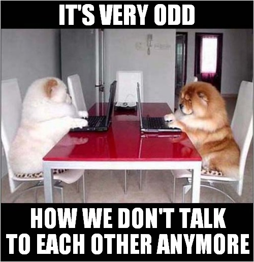 The Death Of Conversation At The Table ! | IT'S VERY ODD; HOW WE DON'T TALK TO EACH OTHER ANYMORE | image tagged in dogs,conversation,computer | made w/ Imgflip meme maker