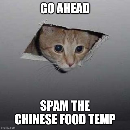 Ceiling Cat Meme | GO AHEAD; SPAM THE CHINESE FOOD TEMP | image tagged in memes,ceiling cat | made w/ Imgflip meme maker