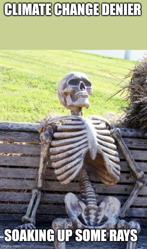Waiting Skeleton |  CLIMATE CHANGE DENIER; SOAKING UP SOME RAYS | image tagged in memes,waiting skeleton,climate change,climate,save the earth | made w/ Imgflip meme maker