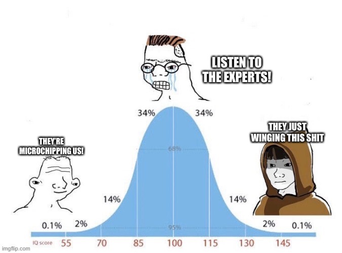 COVID Bell Curve | LISTEN TO THE EXPERTS! THEY JUST WINGING THIS SHIT; THEY’RE MICROCHIPPING US! | image tagged in bell curve | made w/ Imgflip meme maker