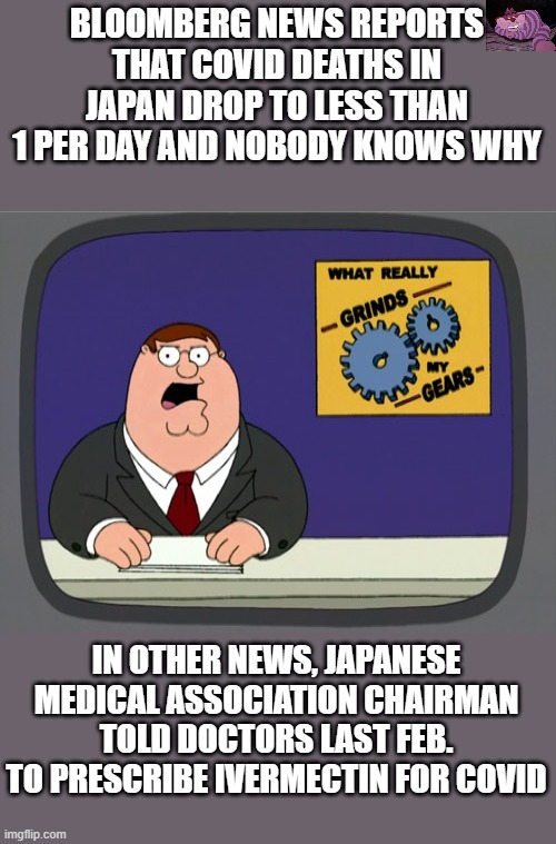 Maybe Bloomberg "journalist" should read other news sites for information |  BLOOMBERG NEWS REPORTS THAT COVID DEATHS IN JAPAN DROP TO LESS THAN 1 PER DAY AND NOBODY KNOWS WHY; IN OTHER NEWS, JAPANESE MEDICAL ASSOCIATION CHAIRMAN TOLD DOCTORS LAST FEB. TO PRESCRIBE IVERMECTIN FOR COVID | image tagged in memes,peter griffin news | made w/ Imgflip meme maker