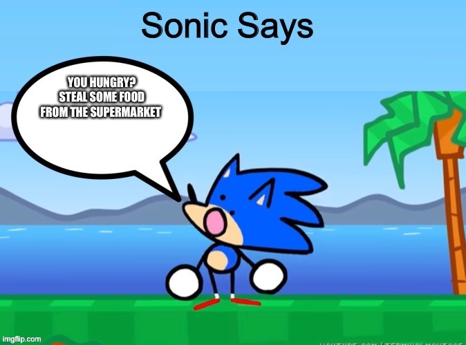 Sonic says episode 7 | YOU HUNGRY? STEAL SOME FOOD FROM THE SUPERMARKET | image tagged in sonic says | made w/ Imgflip meme maker