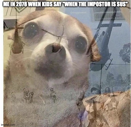 PTSD Chihuahua | ME IN 2078 WHEN KIDS SAY "WHEN THE IMPOSTOR IS SUS" | image tagged in ptsd chihuahua | made w/ Imgflip meme maker