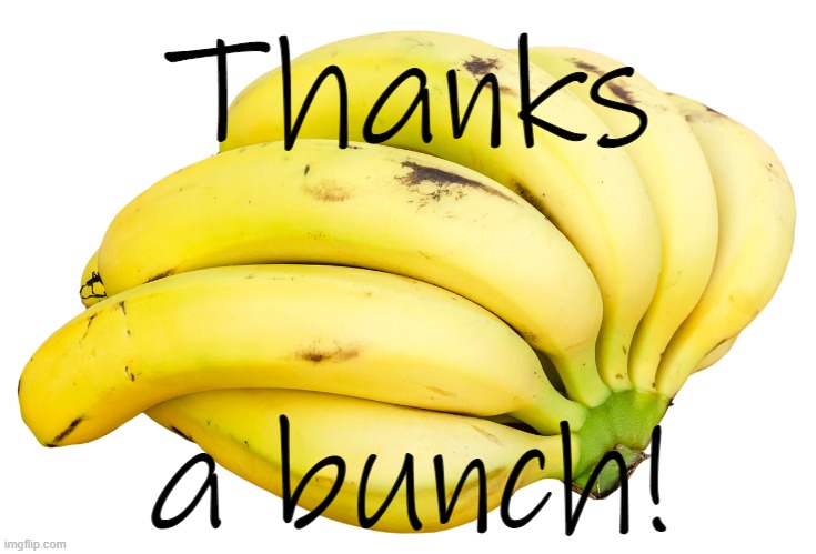 banana bunch | Thanks a bunch! | image tagged in banana bunch | made w/ Imgflip meme maker