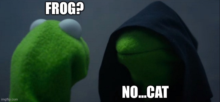 No cat | FROG? NO…CAT | image tagged in memes,evil kermit | made w/ Imgflip meme maker