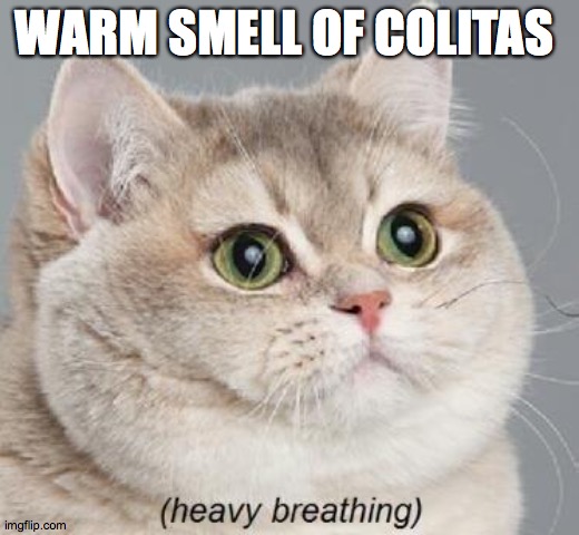 hotel california | WARM SMELL OF COLITAS | image tagged in memes,heavy breathing cat,hotel california | made w/ Imgflip meme maker