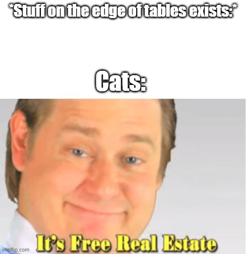 It's Free Real Estate | *Stuff on the edge of tables exists:*; Cats: | image tagged in it's free real estate | made w/ Imgflip meme maker