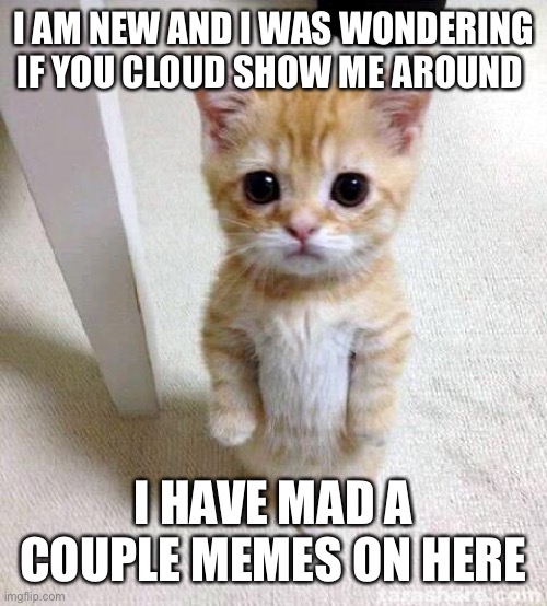 Cute Cat Meme | I AM NEW AND I WAS WONDERING IF YOU CLOUD SHOW ME AROUND; I HAVE MAD A COUPLE MEMES ON HERE | image tagged in memes,cute cat | made w/ Imgflip meme maker