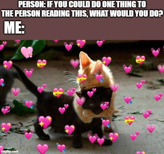 hug? | PERSON: IF YOU COULD DO ONE THING TO THE PERSON READING THIS, WHAT WOULD YOU DO? ME: | image tagged in wholesome,cat,hug | made w/ Imgflip meme maker