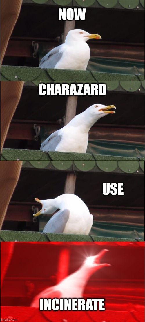 Inhaling Seagull | NOW; CHARAZARD; USE; INCINERATE | image tagged in memes,inhaling seagull | made w/ Imgflip meme maker