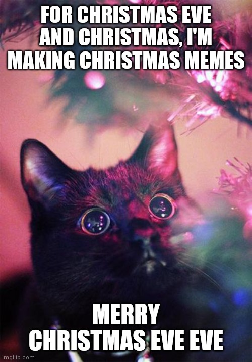 Merry Christmas eve eve | FOR CHRISTMAS EVE AND CHRISTMAS, I'M MAKING CHRISTMAS MEMES; MERRY CHRISTMAS EVE EVE | image tagged in christmas cat,christmas,christmas eve,merry christmas,cat,cute cat | made w/ Imgflip meme maker