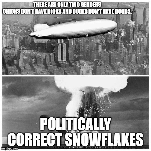 Truth is truth! |  THERE ARE ONLY TWO GENDERS
CHICKS DON'T HAVE DICKS AND DUDES DON'T HAVE BOOBS. POLITICALLY CORRECT SNOWFLAKES | image tagged in blimp explosion,2 genders,snowflakes,political correctness,stupid people | made w/ Imgflip meme maker