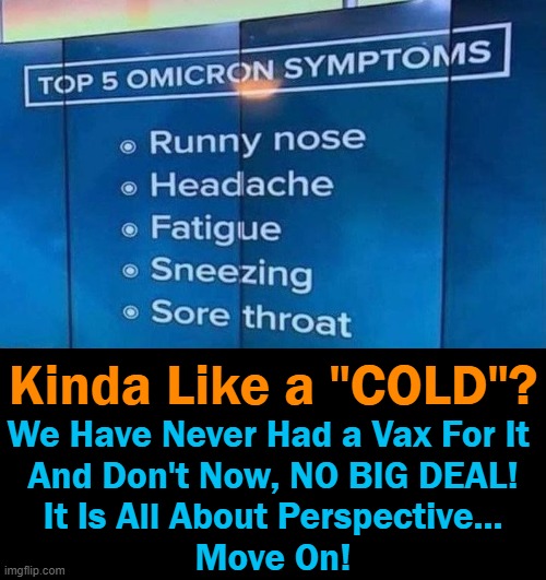 Biden: Unvaccinated facing a winter of "severe illness & death" as if the jab will help! Fearmongering 101! | Kinda Like a "COLD"? We Have Never Had a Vax For It 
And Don't Now, NO BIG DEAL!
It Is All About Perspective...
Move On! | image tagged in politics,covid vaccine,unvaxxed,joe biden,fearmongering,common cold | made w/ Imgflip meme maker