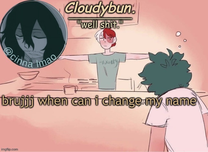 the imgflip name system should be like discords smh | brujjj when can i change my name | image tagged in cinnas temp d | made w/ Imgflip meme maker