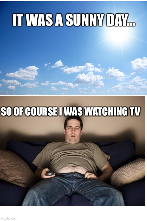 So True | IT WAS A SUNNY DAY... SO OF COURSE I WAS WATCHING TV | image tagged in blank white template | made w/ Imgflip meme maker