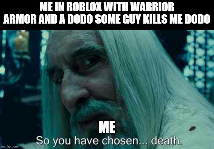 So you have chosen death | ME IN ROBLOX WITH WARRIOR ARMOR AND A DODO SOME GUY KILLS ME DODO; ME | image tagged in so you have chosen death | made w/ Imgflip meme maker