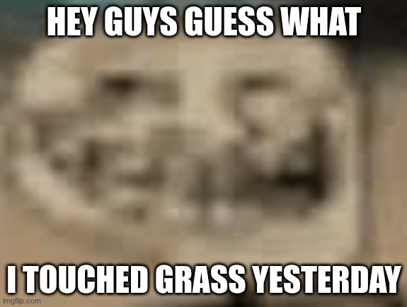 Low Quality Troll Face | HEY GUYS GUESS WHAT; I TOUCHED GRASS YESTERDAY | image tagged in low quality troll face | made w/ Imgflip meme maker