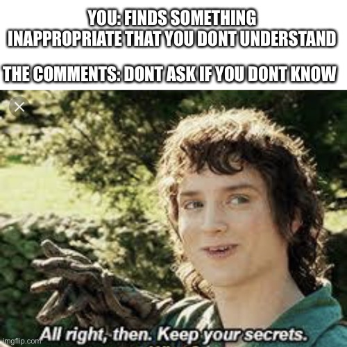 Keep your secrets then | YOU: FINDS SOMETHING INAPPROPRIATE THAT YOU DONT UNDERSTAND; THE COMMENTS: DONT ASK IF YOU DONT KNOW | image tagged in all right then keep your secrets,deez nutz,ligma,hide the pain harold,why cant you just be normal | made w/ Imgflip meme maker