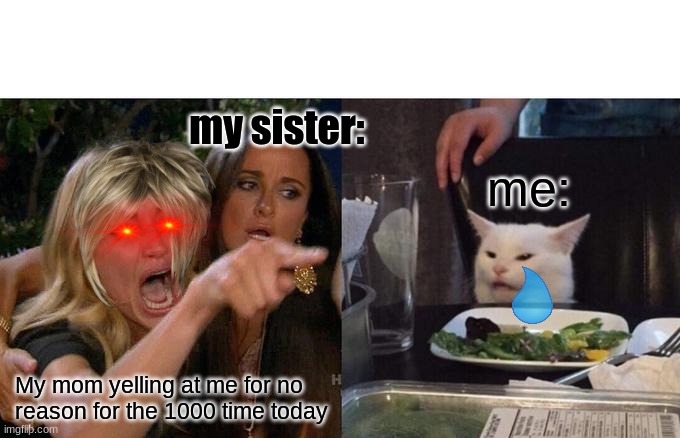 Woman Yelling At Cat Meme | my sister:; me:; My mom yelling at me for no reason for the 1000 time today | image tagged in memes,woman yelling at cat | made w/ Imgflip meme maker