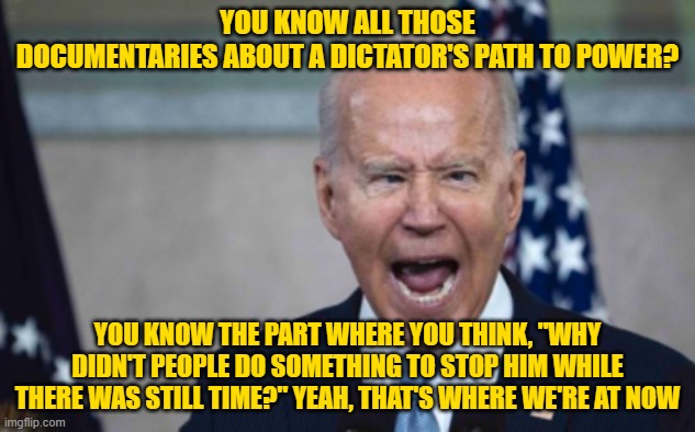 While There is Still Time | YOU KNOW ALL THOSE DOCUMENTARIES ABOUT A DICTATOR'S PATH TO POWER? YOU KNOW THE PART WHERE YOU THINK, "WHY DIDN'T PEOPLE DO SOMETHING TO STOP HIM WHILE THERE WAS STILL TIME?" YEAH, THAT'S WHERE WE'RE AT NOW | image tagged in biden scream | made w/ Imgflip meme maker