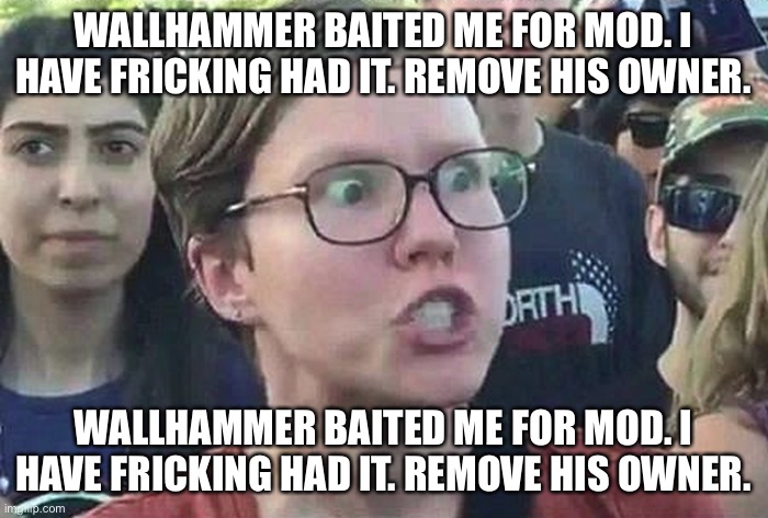 joining this copypasta trend | WALLHAMMER BAITED ME FOR MOD. I HAVE FRICKING HAD IT. REMOVE HIS OWNER. WALLHAMMER BAITED ME FOR MOD. I HAVE FRICKING HAD IT. REMOVE HIS OWNER. | image tagged in triggered liberal | made w/ Imgflip meme maker