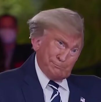 Trump squished face Blank Meme Template