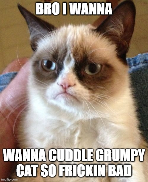 tartar sauce is adorable | BRO I WANNA; WANNA CUDDLE GRUMPY CAT SO FRICKIN BAD | image tagged in memes,grumpy cat | made w/ Imgflip meme maker
