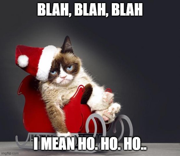 Grumpy Cat Christmas HD | BLAH, BLAH, BLAH; I MEAN HO. HO. HO.. | image tagged in grumpy cat christmas hd | made w/ Imgflip meme maker