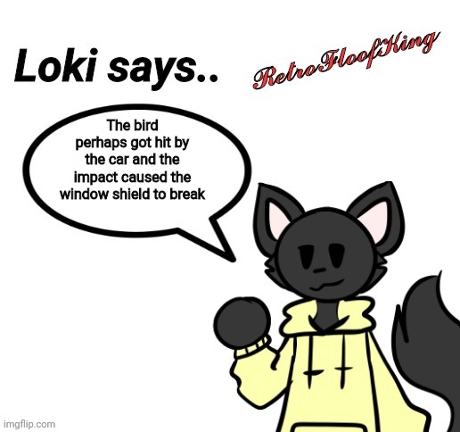 Loki says.. by RetroFloofKing | The bird perhaps got hit by the car and the impact caused the window shield to break | image tagged in loki says by retrofloofking | made w/ Imgflip meme maker