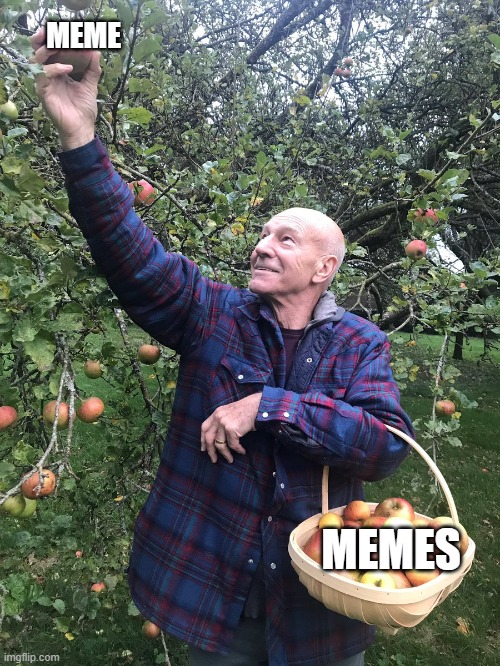 Patrick Stewart picking apples | MEME; MEMES | image tagged in patrick stewart picking apples | made w/ Imgflip meme maker