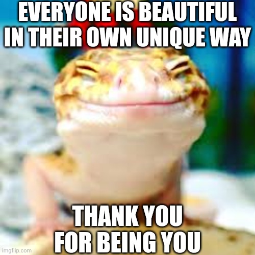 Smiling gecko | EVERYONE IS BEAUTIFUL IN THEIR OWN UNIQUE WAY; THANK YOU FOR BEING YOU | image tagged in smiling gecko | made w/ Imgflip meme maker