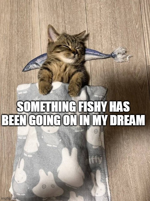 SOMETHING FISHY HAS BEEN GOING ON IN MY DREAM | image tagged in meme,memes,cat,cats | made w/ Imgflip meme maker
