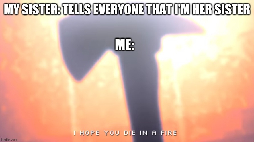 Die In A Fire |  MY SISTER: TELLS EVERYONE THAT I'M HER SISTER; ME: | image tagged in die in a fire | made w/ Imgflip meme maker
