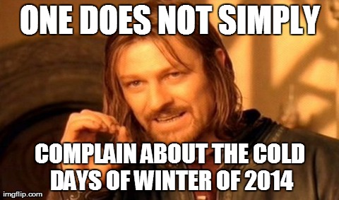 One Does Not Simply | ONE DOES NOT SIMPLY COMPLAIN ABOUT THE COLD DAYS OF WINTER OF 2014 | image tagged in memes,one does not simply | made w/ Imgflip meme maker