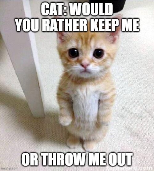 Baby cat | CAT: WOULD YOU RATHER KEEP ME; OR THROW ME OUT | image tagged in memes,cute cat | made w/ Imgflip meme maker