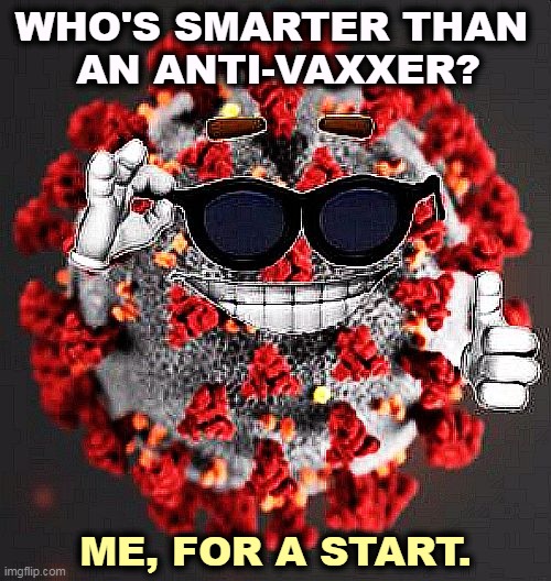 COVID 19, coronavirus smile | WHO'S SMARTER THAN 
AN ANTI-VAXXER? ME, FOR A START. | image tagged in covid 19 coronavirus smile,virus,smart,anti vax,dumb | made w/ Imgflip meme maker