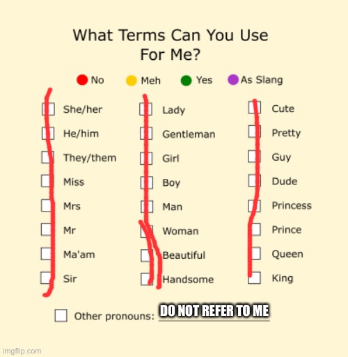 Ha ha funny joke go brr | DO NOT REFER TO ME | image tagged in pronouns sheet | made w/ Imgflip meme maker