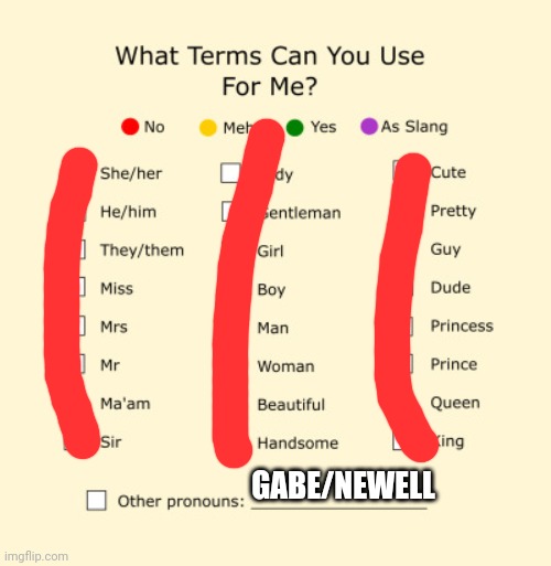 Pronouns Sheet | GABE/NEWELL | image tagged in pronouns sheet | made w/ Imgflip meme maker