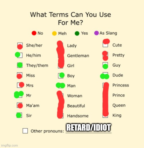 Pronouns Sheet | RETARD/IDIOT | image tagged in pronouns sheet | made w/ Imgflip meme maker