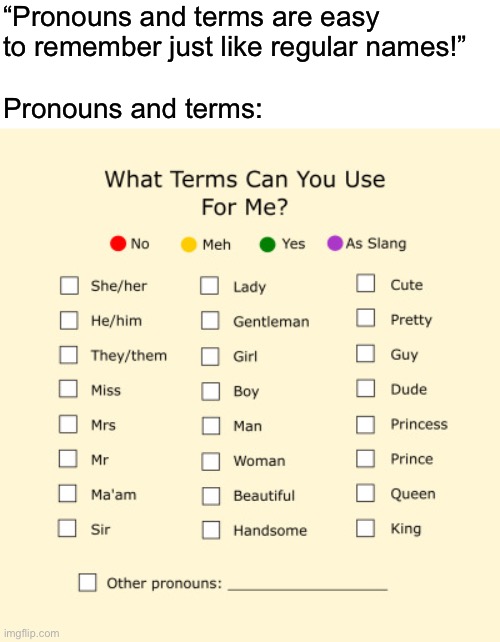 wheeepleeeeems | “Pronouns and terms are easy
to remember just like regular names!”
 
Pronouns and terms: | image tagged in pronouns sheet | made w/ Imgflip meme maker