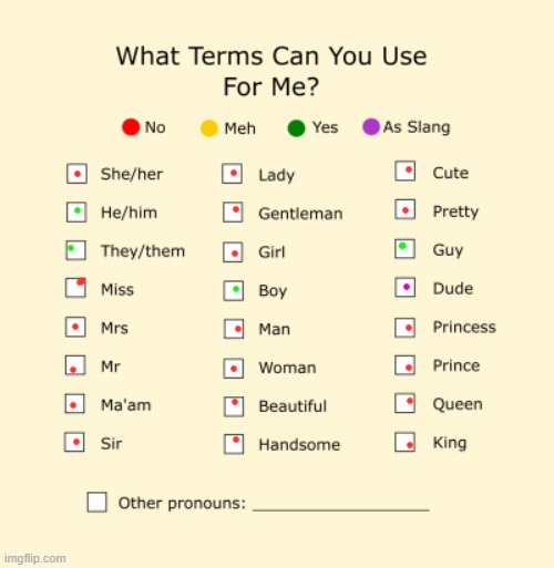 i was bored | image tagged in pronouns sheet | made w/ Imgflip meme maker