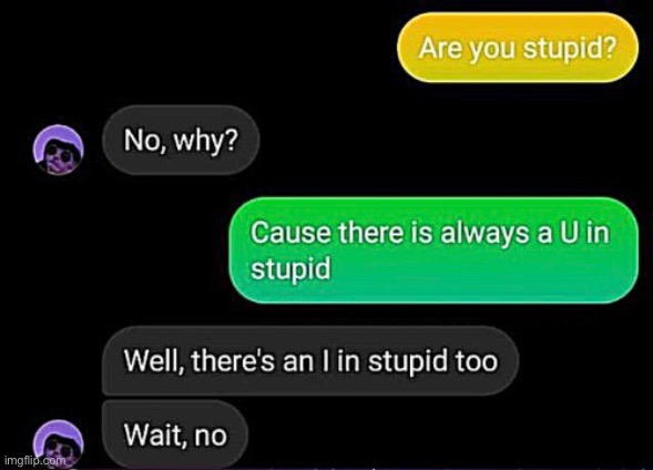 wait no | image tagged in stupid | made w/ Imgflip meme maker