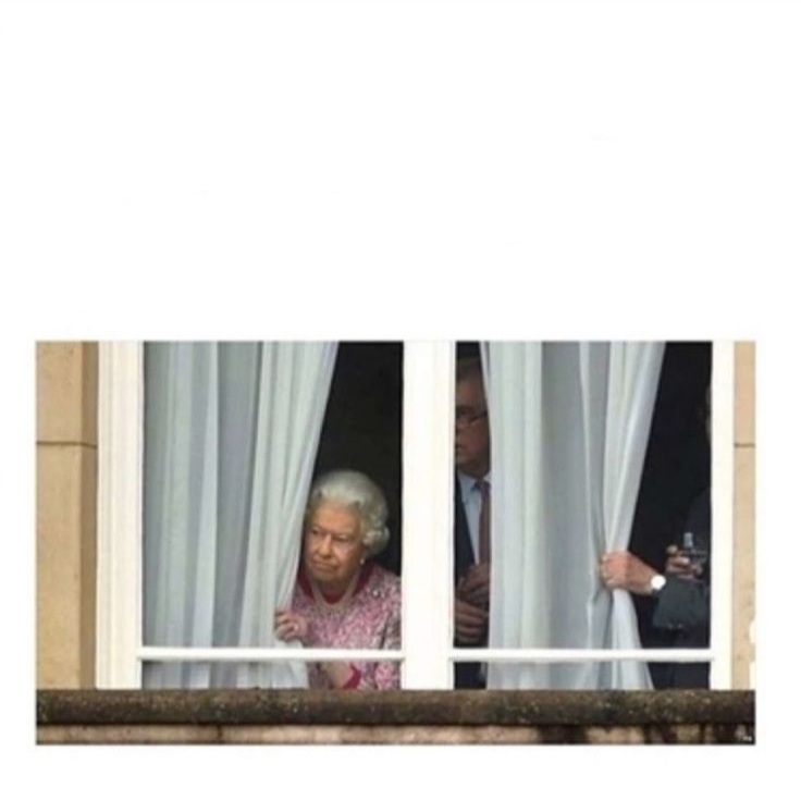 Queen in window Blank Meme Template