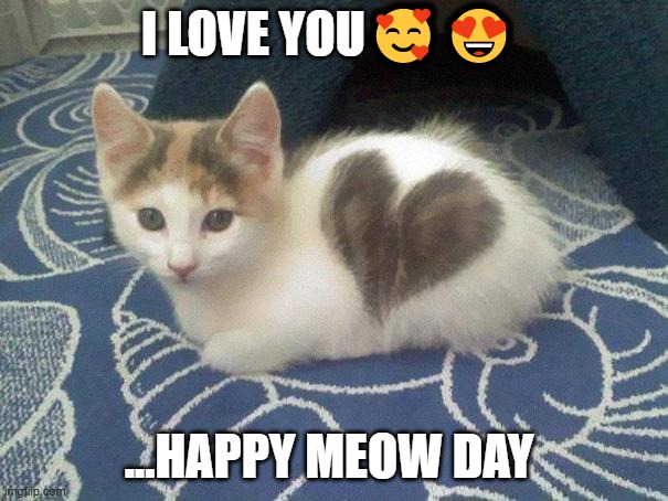 cat | I LOVE YOU🥰😍; ...HAPPY MEOW DAY | image tagged in cute cat heart | made w/ Imgflip meme maker